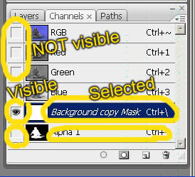 Select the mask so it's ready to paste into