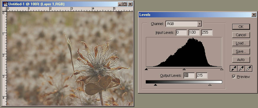 Levels contrast down