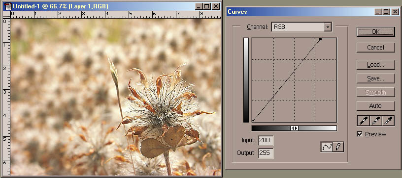 Curves input white