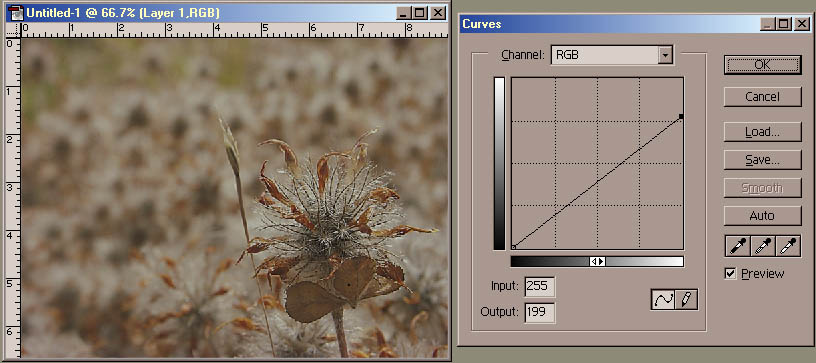 Curves output white