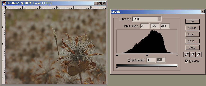 Levels brightness down