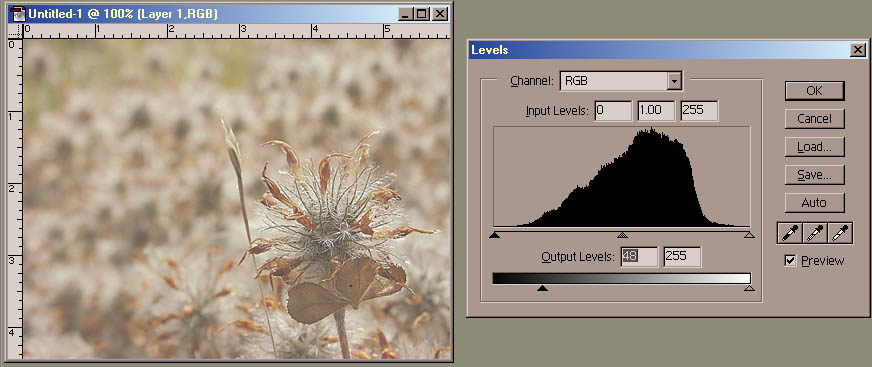 Levels brightness up