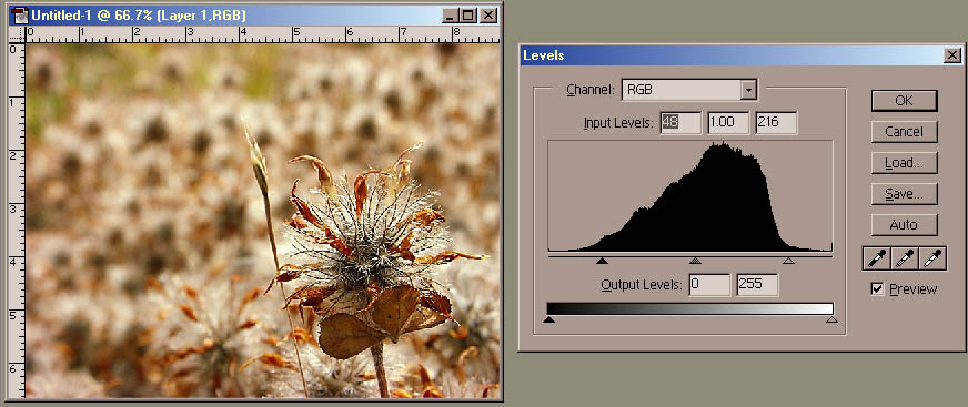 Levels contrast up