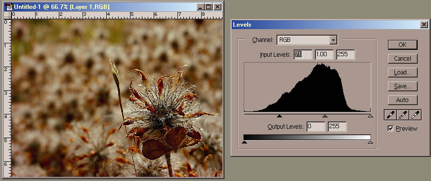 Levels input black