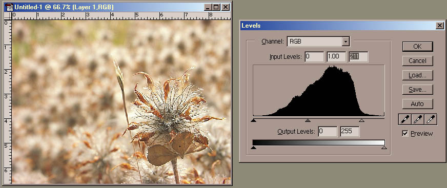 Levels input white