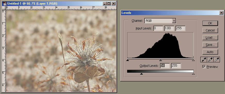 Levels output black