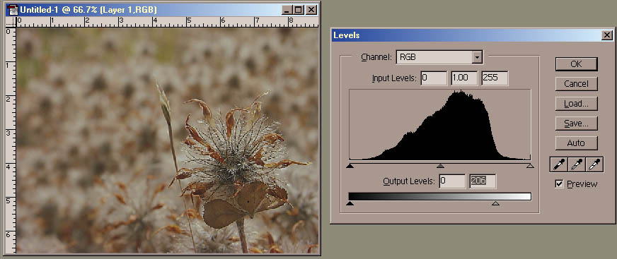 Levels output white